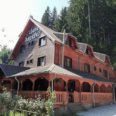 Cabana Ancutei Rucăr Esterno foto