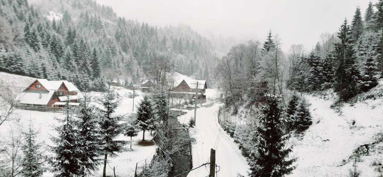 Cabana Ancutei Rucăr Esterno foto