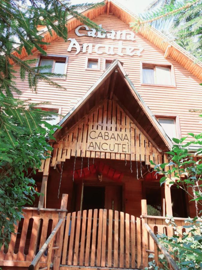 Cabana Ancutei Rucăr Esterno foto