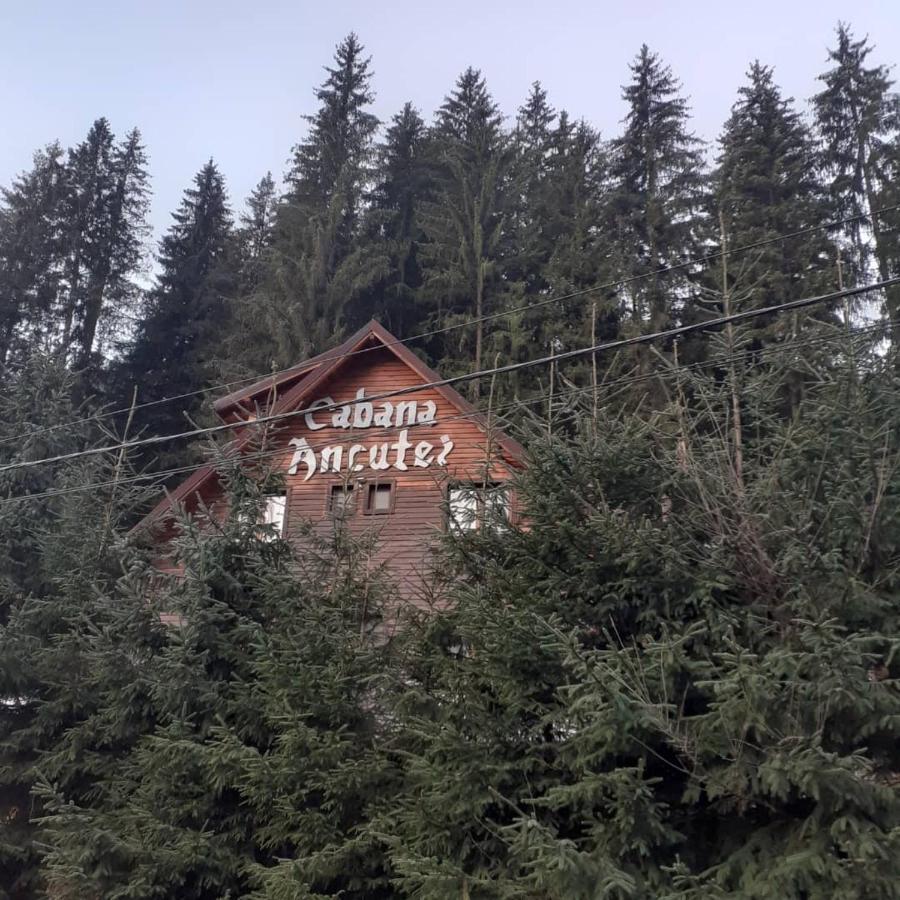 Cabana Ancutei Rucăr Esterno foto