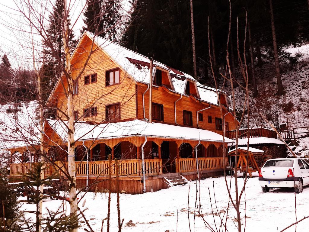Cabana Ancutei Rucăr Esterno foto