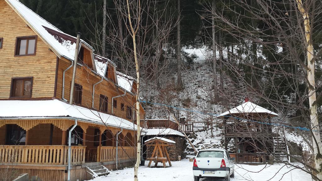 Cabana Ancutei Rucăr Esterno foto
