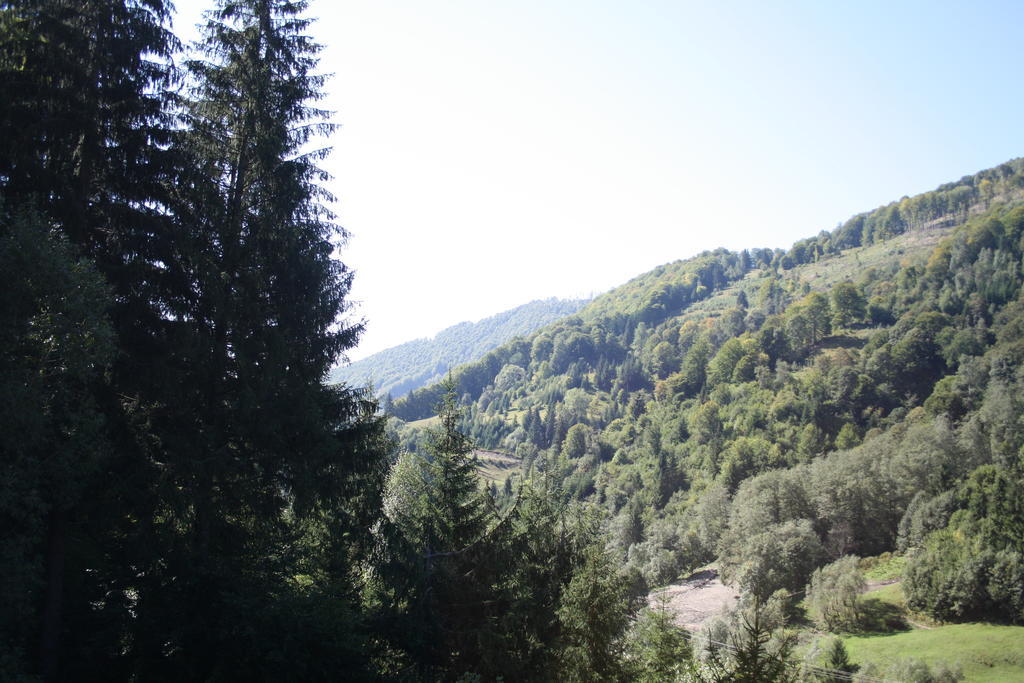Cabana Ancutei Rucăr Esterno foto