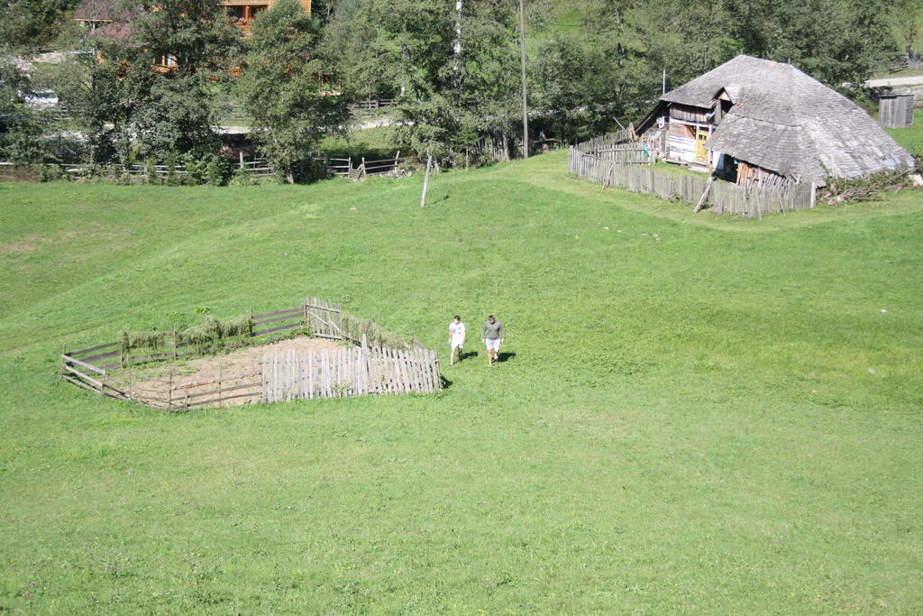 Cabana Ancutei Rucăr Esterno foto