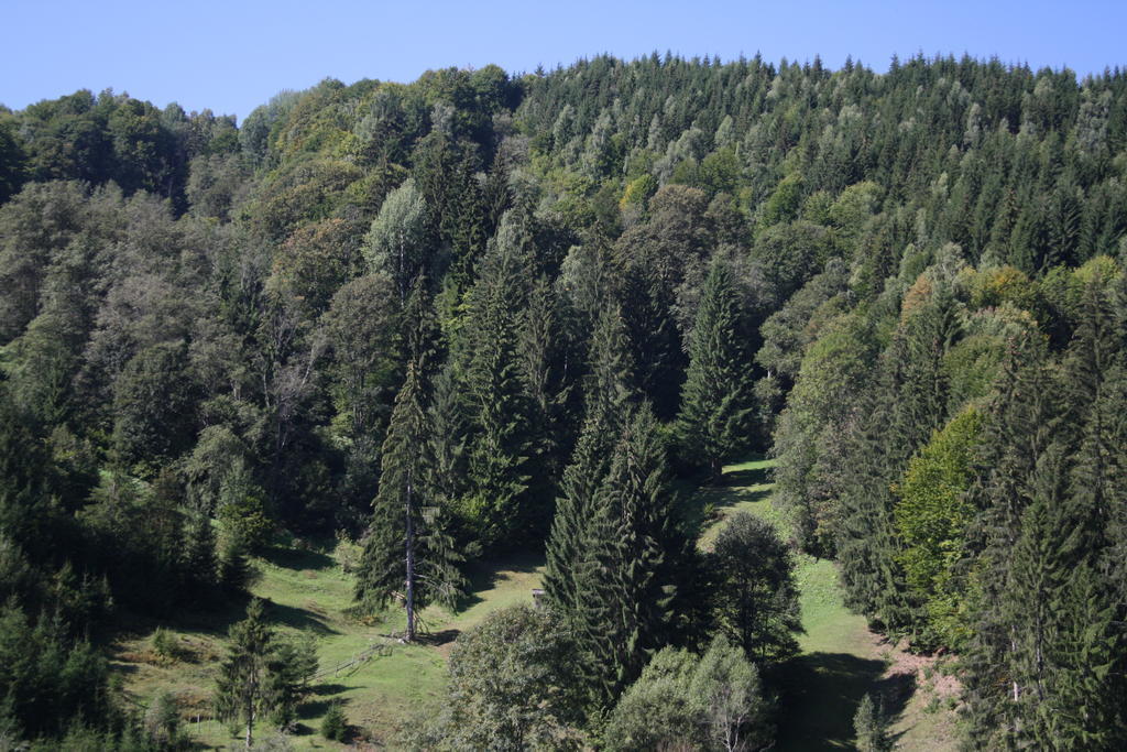 Cabana Ancutei Rucăr Esterno foto