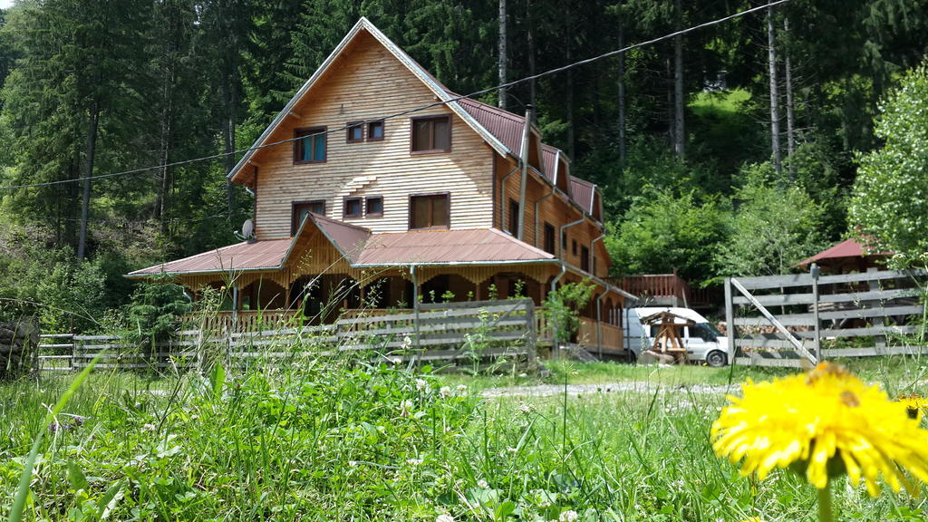 Cabana Ancutei Rucăr Esterno foto