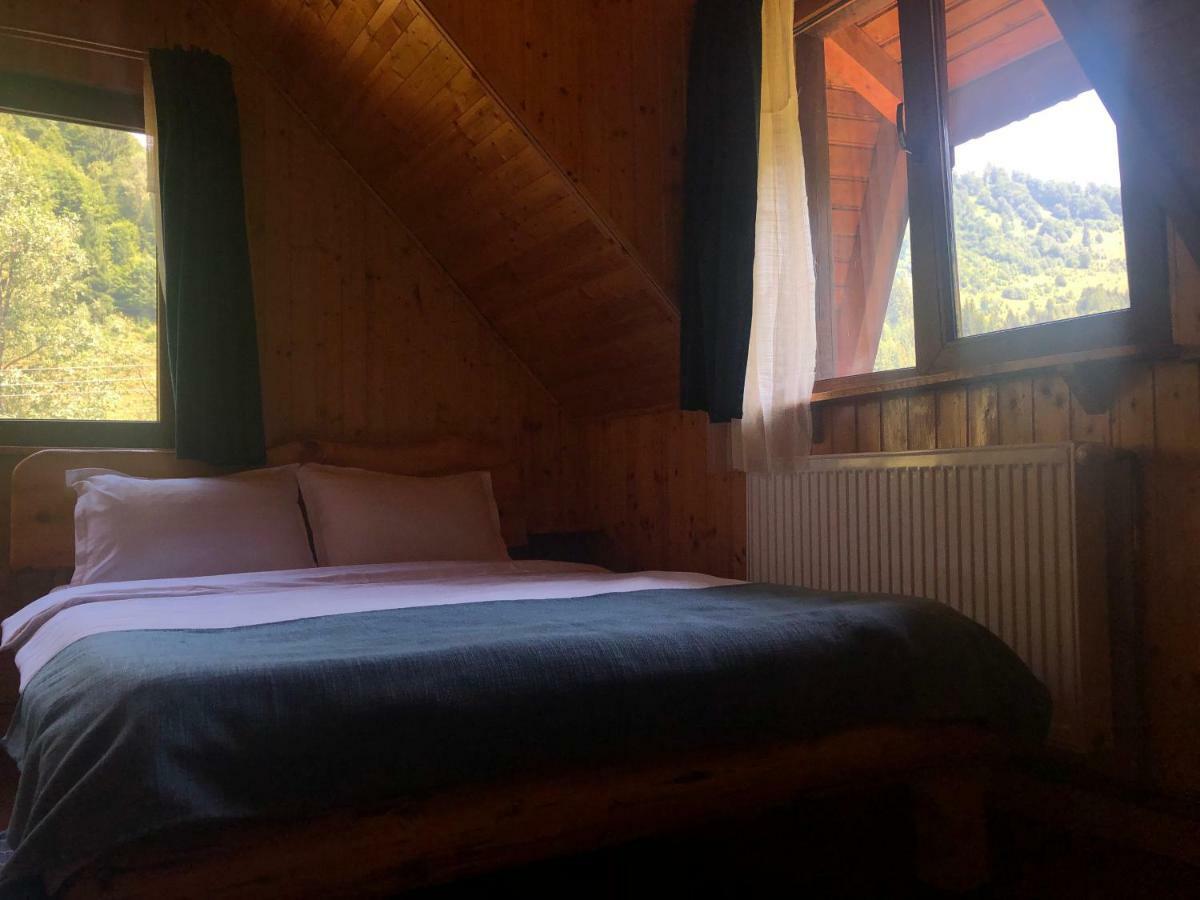 Cabana Ancutei Rucăr Esterno foto